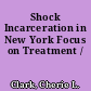 Shock Incarceration in New York Focus on Treatment /