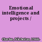 Emotional intelligence and projects /