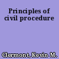 Principles of civil procedure