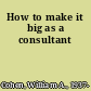 How to make it big as a consultant
