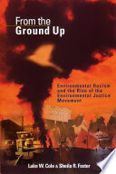 From the ground up : environmental racism and the rise of the environmental justice movement /