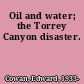 Oil and water; the Torrey Canyon disaster.