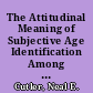 The Attitudinal Meaning of Subjective Age Identification Among Young Adults