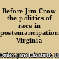 Before Jim Crow the politics of race in postemancipation Virginia /