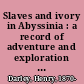 Slaves and ivory in Abyssinia : a record of adventure and exploration among the Ethiopian slave-raiders /