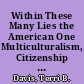 Within These Many Lies the American One Multiculturalism, Citizenship Training, and the Construction of an American "Paideia." /