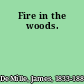 Fire in the woods.