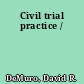 Civil trial practice /