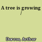 A tree is growing /