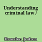 Understanding criminal law /