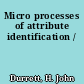 Micro processes of attribute identification /