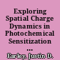 Exploring Spatial Charge Dynamics in Photochemical Sensitization Complexes: From Microwaves to X-Rays /