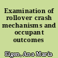 Examination of rollover crash mechanisms and occupant outcomes