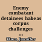 Enemy combatant detainees habeas corpus challenges in federal court /