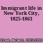 Immigrant life in New York City, 1825-1863