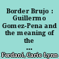 Border Brujo : Guillermo Gomez-Pena and the meaning of the border in the contemporary Americas /