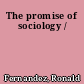 The promise of sociology /