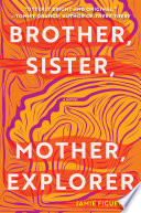 Brother sister mother explorer : a novel /