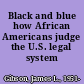 Black and blue how African Americans judge the U.S. legal system /