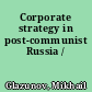 Corporate strategy in post-communist Russia /