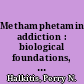 Methamphetamine addiction : biological foundations, psychological factors, and social consequences /