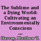 The Sublime and a Dying World: Cultivating an Environmentally Conscious Political Imagination /