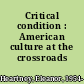 Critical condition : American culture at the crossroads /