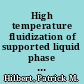 High temperature fluidization of supported liquid phase molten salt catalysts /