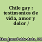 Chile gay : testimonios de vida, amor y dolor /