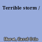 Terrible storm /