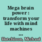 Mega brain power : transform your life with mind machines and brain nutrients /