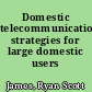 Domestic telecommunications strategies for large domestic users /
