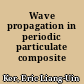 Wave propagation in periodic particulate composite /