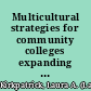 Multicultural strategies for community colleges expanding faculty diversity /