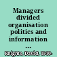 Managers divided organisation politics and information technology management /