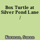Box Turtle at Silver Pond Lane /