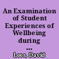 An Examination of Student Experiences of Wellbeing during the Year Abroad /