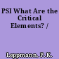 PSI What Are the Critical Elements? /
