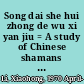 Song dai she hui zhong de wu xi yan jiu = A study of Chinese shamans during the two-Song dynasties period /