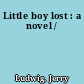 Little boy lost : a novel /