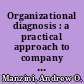 Organizational diagnosis : a practical approach to company problem solving and growth /