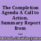 The Completion Agenda A Call to Action. Summary Report from the November 10-11, 2010, Meeting of the American Association of Community Colleges Commissions and Board of Directors /