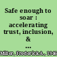 Safe enough to soar : accelerating trust, inclusion, & collaboration in the workplace /