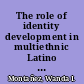 The role of identity development in multiethnic Latino students' sense of belonging in college /