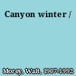 Canyon winter /