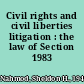 Civil rights and civil liberties litigation : the law of Section 1983 /
