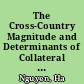 The Cross-Country Magnitude and Determinants of Collateral Borrowing /