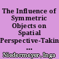 The Influence of Symmetric Objects on Spatial Perspective-Taking : An Interview-Study with Young Elementary School Children /