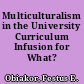 Multiculturalism in the University Curriculum Infusion for What? /