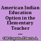 American Indian Education Option in the Elementary Teacher Training Program at Montana State University at Bozeman